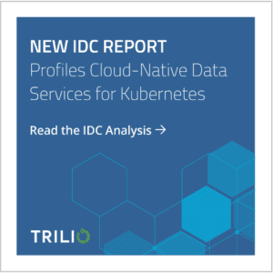 IDC Profiles Cloud-Native Data Services Market and Trilio