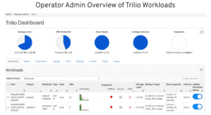 A screenshot of the operator admin overview of Trilio Workloads