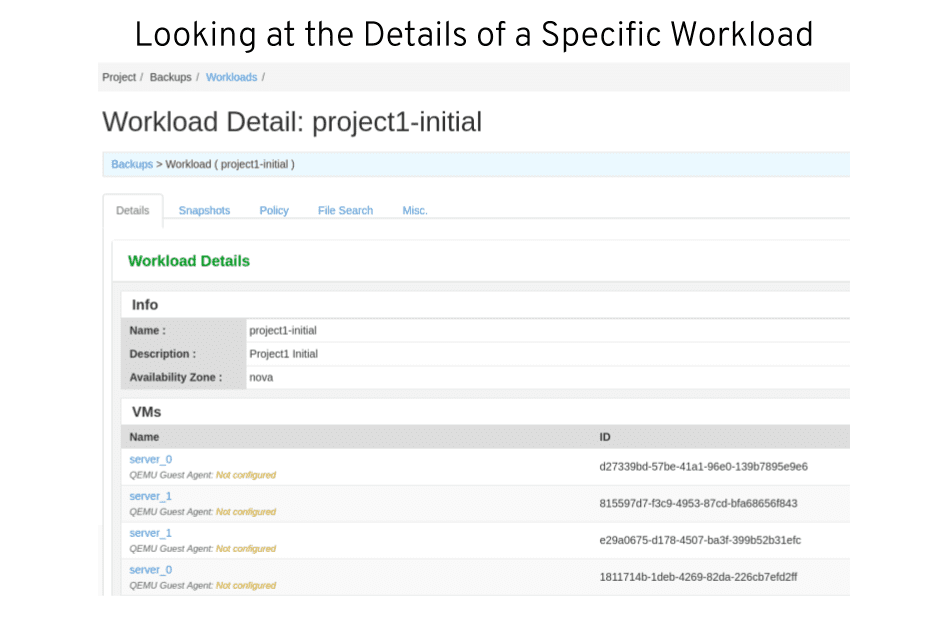 A screenshot of the details of specific workload
