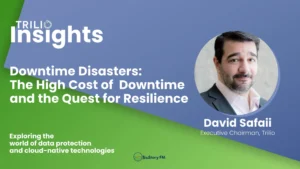 Downtime Disasters: The High Cost of  Downtime and the Quest for Resilience